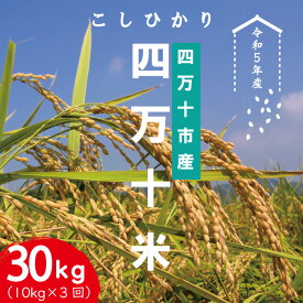 【ふるさと納税】23-946．【令和5年産・3回定期便】四万十産 四万十米（コシヒカリ）10kg（5kg×2袋）×3回（計30kg） 定期便 こしひかり コシヒカリ 10kg 30kg 令和5年 2023年 精米 白米 米 おこめ ご飯 ごはん 四国 高知 四万十 しまんと お取り寄せ 送料無料