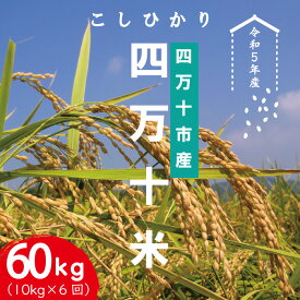 【ふるさと納税】23-947．【令和5年産・6回定期便】四万十産 四万十米（コシヒカリ）10kg（5kg×2袋）×6回（計60kg） 国産 定期便 こしひかり コシヒカリ 10kg 60kg 令和5年 2023年 精米 白米 米 おこめ ご飯 高知 四万十 しまんと お取り寄せ 送料無料