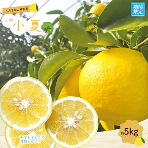 yӂ邳Ɣ[Łz  5kg 18`30 mY l\sY p Mtg y t ʌ zs \  nEX͔| Ȃ Ric k t[c ʕ m m l\s l\ 