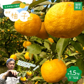 【ふるさと納税】 ゆず 約 1.5kg 9～14個 高知県産 四万十市産 贈答用 ギフト 【 早期受付 数量限定 】先行 予約 柚子 ユズ 柑橘 フルーツ 果物 酢みかん 高知県 高知 四万十市 四万十 しまんと お取り寄せ 送料無料 【 2025年 12月中旬～ 2026年 1月下旬発送】25-1008