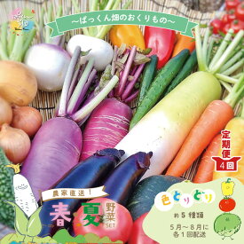 【ふるさと納税】【早期受付 4回 定期便 】 春・夏 野菜セット 約5種類 とれたて 新鮮 ぱっくん畑のおくりもの 農家直送 国産 野菜 やさい 予約 高知県 高知 四万十市 四万十 しまんと 野菜便 詰め合わせ お取り寄せ 送料無料 【2026年5月～8月まで毎月1回発送】25-057