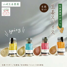 【ふるさと納税】 山崎生姜農園 生姜農家 が作った 生姜スパイス 4本 セット （ 生姜塩・紅生姜塩・にんにく紅生姜塩・生姜パウダー） 粉末 調味料 スパイス 塩 しお 生姜 しょうが ショウガ にんにく ニンニク 高知県 高知 四万十市 四万十 しまんと 送料無料 25-328