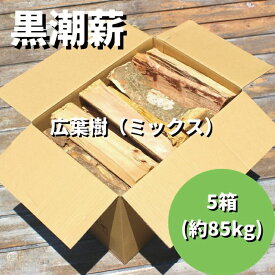 【ふるさと納税】 数量限定 薪ストーブ や アウトドア に！黒潮薪 5箱（合計 約85kg） 薪 まき マキ 焚き火 たき火 木 広葉樹 暖炉 キャンプ バーベキュー 木材 シイ カシ 国産 高知 四万十 しまんと 送料無料 【発送期間：2025年8月～2026年3月31日まで】25-266