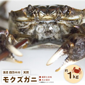 【ふるさと納税】24-948．濃厚な旨み！清流四万十川・天然モクズガニ 約1kg（大小混合） 冷凍 クール 蟹 かに カニ つがに ツガニ もくずがに モクズガニ 天然 予約 先行予約 早期予約 濃厚 国産 高知 四万十 しまんと お取り寄せ 送料無料