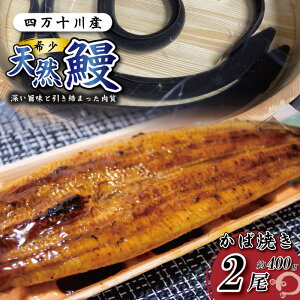 yӂ邳Ɣ[Łz l\YVRȂ 1i200gj VRȂ VR l\  V EiM Ȃ  O  y  ґ Mtg Hו Hi 