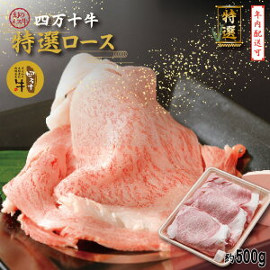 yӂ邳Ɣ[ŁzyNzz̃X l\ I [XXCX Ă Ԃ 500g Y m ܂ l\ q꒼   јa    Ⓚ [