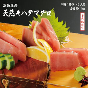 yӂ邳Ɣ[ŁzyNzzhg  Ђ ɁI VR܂ Ln_}O Ԑg 600g 1kg CN   N Ⓚ ܂ }O  hg  ؂g ؐg VR O  