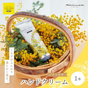 yӂ邳Ɣ[Łzy ~A~U z~A~U nhN[ 50g 1{ ~U  ӂ _炩 Mtg v[g  蕨 e RX XLPA N[  VR VR