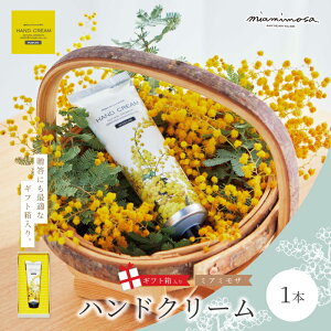 yӂ邳Ɣ[Łzy ~A~U zy Mtg z~A~U nhN[ 50g 1{ ϔ Mtg ~U  ӂ _炩 Mtg v[g  e RX XLPA N