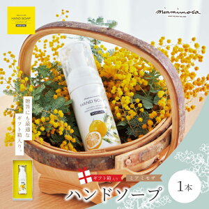 yӂ邳Ɣ[Łzy ~A~U zy Mtg z~A~U nh\[v 50ml 1{ ϔ Mtg VR  ӂ L N[~[ A  t Ό Mtg v[g  