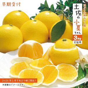 yӂ邳Ɣ[ŁzytEʌzÖ_Ȃ߁Iy̏Ă 3kgyƒpz\ s {  ʕ t[c k ~J ݂ W[V[  Ȃ 