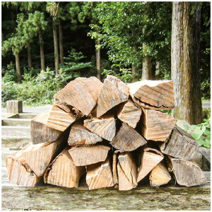 �y�ӂ邳�Ɣ[�ŁzR5-563�D�y���ʌ���z�l���\�s�Y�@�X�̂Ȃ��܂̐d�@��10kg×2�� �}�L �܂� �A�E�g�h�A �L�����v ������ ���m �l���\ ���܂�� ��������