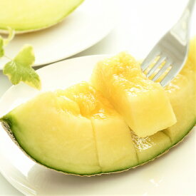 楽天市場 春夏 メロン フルーツ 果物 食品の通販