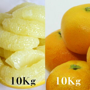 みかん 10kg 送料無料の人気商品 通販 価格比較 価格 Com みかん 10kg 送料無料の人気商品 通販 価格比較 価格 Com