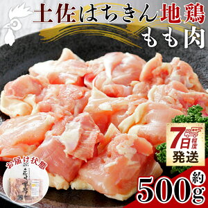 yӂ邳Ɣ[Łzy7xŔzy͂n{  500g -  {    Y  Jbg ֗ 炠  ٓ ܂  `L [ m s ad-