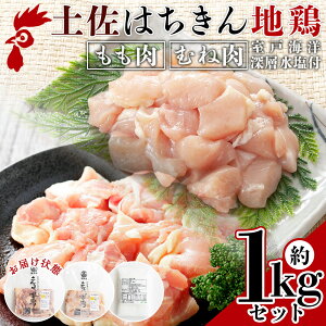 yӂ邳Ɣ[Łzy͂n{ Eނ˓ v1kgZbg ˊCm[wt - Y  { {  ނ  l  Zbg  Jbg BBQ AEghA [ m