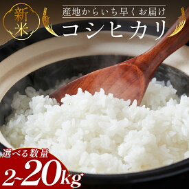 【ふるさと納税】【先行予約】新米 令和8年産 コシヒカリ 約2kg 5kg 10kg 20kg - 選べる 内容量 お米 おこめ 国産 米 精米 こしひかり ごはん 白米 ご飯 おにぎり おむすび 防災 非常食 備蓄 高知県 香南市【常温】