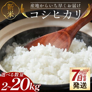 yӂ邳Ɣ[Łzy7xŔzV ߘa7NY RVqJ 2kg/5kg/10kg/20kg - Iׂ e   Y   Ђ ͂   ɂ ނ h H ~ 