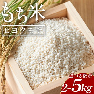 yӂ邳Ɣ[ŁzyIׂ鐔ʁz qN` 2kg/4kg/5kg - Y  `    ͂ ڂ G Ԕ   AW  m s y퉷z at-0035