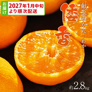 �y�ӂ邳�Ɣ[�Łz�y���ʌ���z�y���T���Ȃ� �}���` ����݂���u�`���i�킩�j�v2.8kg - �������� ���k �̂� ���l ���ʌ��� �z�����Ԏw�� ���� �~�J�� �t���[�c �ʕ� �������� �f�U�[�g �����