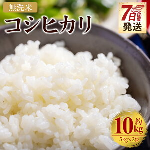 【ふるさと納税】【7日程度で発送】新米 令和7年産 無洗米 コシヒカリ 10kg - 国産 米 お米 おこめ こしひかり 白米 精米 10キロ ごはん おにぎり ご飯 ギフト 贈答 防災 備蓄 スピード発送 早い