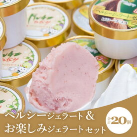 【ふるさと納税】ドルチェかがみ ヘルシージェラート&お楽しみジェラートセット 20個入り - 送料無料 アイス 詰め合わせ 食べ比べ スイーツ デザート ギフト プレゼント 贈答用 贈り物 高知県 香南市【冷凍】