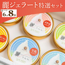 【ふるさと納税】【選べる】麗ジェラート 特選セット 6個／8個 - アイスクリーム デザート スイーツ お菓子 洋菓子 詰合せ 詰め合わせ アソート フレーバー ギフト 贈り物 添加物不使用 ドルチェかがみ 高知県 香南市【冷凍】
