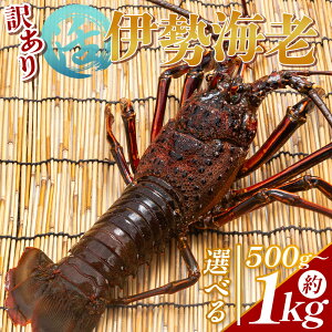 yӂ邳Ɣ[ŁzyIׂeʁz ɐCV ①iIׂeʁFv500g`1kg 1`4j - Iׂ  󂠂 Y Gr  CN  Yn vv X` hg Ă ` 