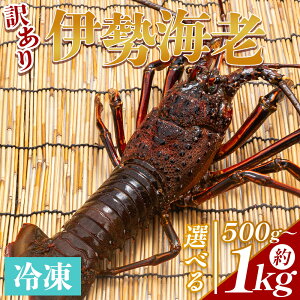 yӂ邳Ɣ[ŁzyIׂeʁzɐCV iIׂeʁFv500g`1kg 1`4j Ⓚ - Iׂ  󂠂 Y Gr  CN  Yn vv X` hg Ă ` 