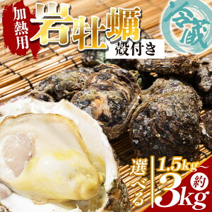 yӂ邳Ɣ[ŁzyIׂzKL(kt) ① Mp iIׂeʁF 1.5kg/2kg/3kgj - Iׂ  Y JL  y  CN L k VR Yn  tC Ăy C