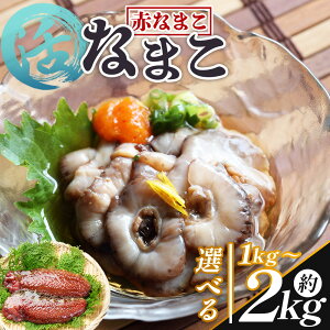 yӂ邳Ɣ[Łzi}R ԃi}RiIׂeʁFv1kg`2kgj - Iׂ  Y Yn ԂȂ܂ Ȃ܂ i}R Cl CY CN  hg hg uߕ h ̂킽 