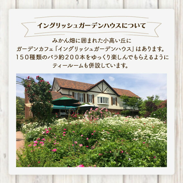楽天市場 ふるさと納税 人気ローズガーデンの手搾りみかんジュース 2本 送料無料 みかん フルーツ ジュース ドリンク みかん農家 ギフト 贈り物 飲み物 ジュースセット プレゼント 蜜柑 柑橘類 高知県 香南市 1a 2 常温 高知県香南市
