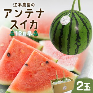 yӂ邳Ɣ[ŁzԌI]{_12~AeiXCJ 2 -  ʕ  t[c  Z fU[g NWbg ʌ Gߌ 蕨 m sy퉷z