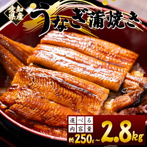 yӂ邳Ɣ[ŁzY{BȂĂ (mYV) (Iׂe:250g`2.8kg) - Y V EiM {B ΂₫ ^t  ܂ X^~i yp̉N̓ Ș ȏd Ԃ i 