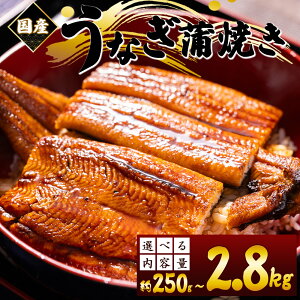 【ふるさと納税】国産 養殖うなぎ蒲焼き (選べる内容量:250g〜2.8kg) - 国産 鰻 ウナギ 養殖 かばやき タレ付き たれ おつまみ スタミナ 土用の丑の日 うな丼 うな重 丼ぶり 一品 おかず 香南市