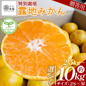 yӂ邳Ɣ[ŁzyIׂeʁzӂ_̘In݂ p (IׂeʁF2.5kg/5kg/10kg)(2S`M) - Y  ~J k ʕ t[c  v[g Mtg 蕨 ӂ_ m 