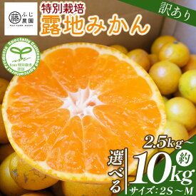 【ふるさと納税】【2026年10月以降順次配送分】【選べる内容量】ふじ農園の露地みかん 訳あり (選べる内容量：2.5kg/5kg/10kg)(2S〜M) - 国産 小玉 蜜柑 ミカン 柑橘 果物 フルーツ 訳アリ ご家庭用 自宅用 ふじ農園 高知県 香南市 【常温】