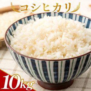 yӂ邳Ɣ[ŁzV ߘa7NY RVqJ v10kg -     Ђ  ͂   Е m sy퉷z ga-0007