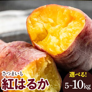 yӂ邳Ɣ[ŁzyIׂeʁz܂ g͂邩 5kg^10kg - Tc}C ܈  Ă ₫ Ă  XC[c XC[g|eg VՂ Y m sy퉷zRgr-