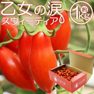 yӂ邳Ɣ[Łzys\tzyNz\z̗ XEB[eBA ~jg}g 1kg -  Ƃ܂ v`g}g t[cg}g Mtg ̂Ή l x Â p 