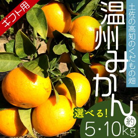 【ふるさと納税】先行予約【期間限定】土佐の高知のくだもの畑 みかん（ギフト用）約5kg/約10kg - 選べる内容量 小玉 温州みかん ミカン 蜜柑 柑橘 柑橘類 フルーツ 果物 くだもの 熨斗 のし対応可 贈り物 贈答用 贈答品 プレゼント お礼 お祝い 感謝 高知県 香南市【常温】