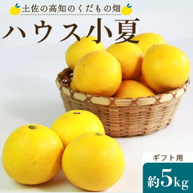 【ふるさと納税】先行予約 土佐の高知のくだもの畑 ハウス小夏 約5kg(ギフト 母の日 お礼 御礼 感謝用) - 送料無料 柑橘 果物 くだもの フルーツ こなつ おいしい 国産 贈答用 お礼 御礼 高知県 香南市【常温】kd-0010