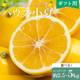 【ふるさと納税】【2026年出荷分 先行予約】【選べる】ハウス小夏（日向夏）約2.5kg/約5kg（ギフト用）- ニューサマーオレンジ 柑橘 果物 フルーツ こなつ 贈答用 甘い 国産 送料無料 土佐の高知のくだもの畑 高知県 香南市