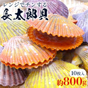 yӂ邳Ɣ[ŁzWŃ`I钷YL 10 800g - qIEML ЂL  CN CY  L  o[xL[ BBQ AEghA Lv mt[Y 