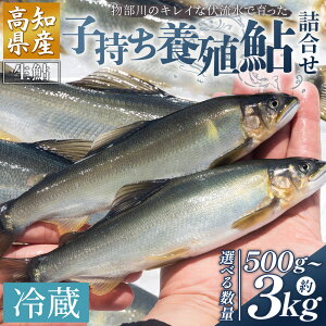 yӂ邳Ɣ[ŁzyIׂeʁzmY q 500g~3kg ̃LCȕň {B l - Iׂ  Y A    CN {B 싛 Ă ݂ 