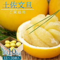 楽天市場】訳あり 文旦（食品）の通販