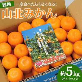 【ふるさと納税】一度食べたらくせになる！ 高知県産 山北みかん 約5kg（露地栽培 2S～Lサイズ）- 送料無料 果物 フルーツ 温州みかん ミカン 蜜柑 柑橘 甘い おいしい のし 贈り物 お取り寄せ 産地直送 特産品 期間限定 高知県 香南市【常温】ku-0024