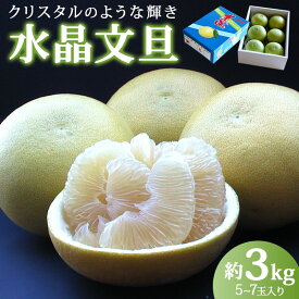 【ふるさと納税】先行予約受付！高知県香南市産 水晶文旦 約3kg（5〜7玉入り）- 期間限定 数量限定 果物 くだもの フルーツ 柑橘 柑橘類 デザート 果実 すいしょう ぶんたん ブンタン 甘い あまい 美味しい おいしい フレッシュ ジューシー 高知県 香南市【常温】ku-0031