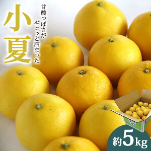 yӂ邳Ɣ[Łzys\zāiāj5kg - 2026N3菇z ʕ k t[c  ЂイȂ j[T}[IW Î_ςMbƋl܂ Ԍ ̂