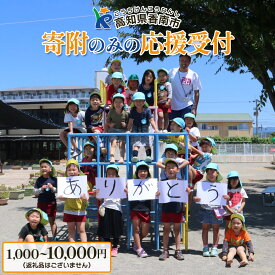 【ふるさと納税】寄附のみの応援受付(返礼品はございません) 高知県 香南市 返礼品なし 寄付 Rky-07